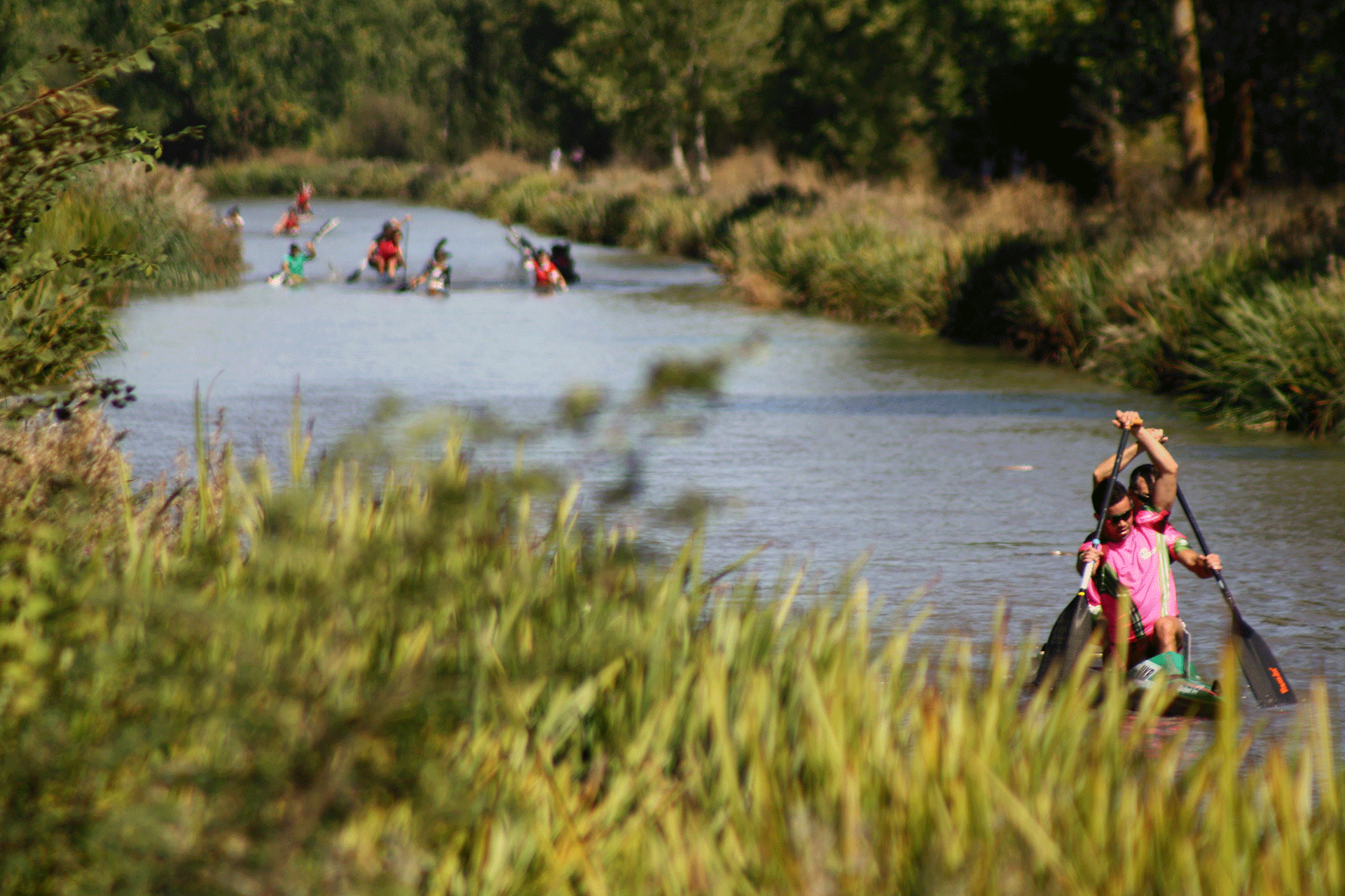 en-piragua-por-el-canal-de-castilla-(Melgar-de-Fernamental)