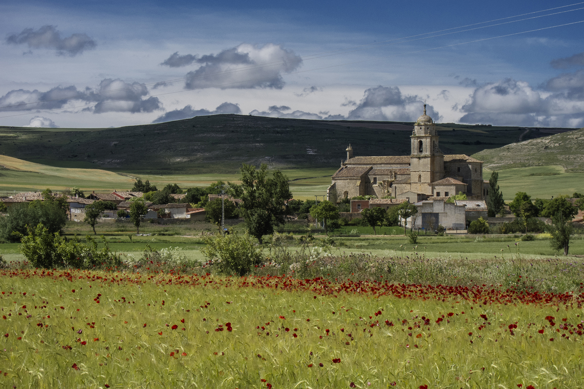 Primavera - Castrojeriz